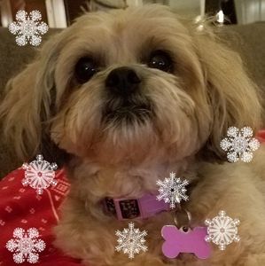 Meet your Posher, Cindy